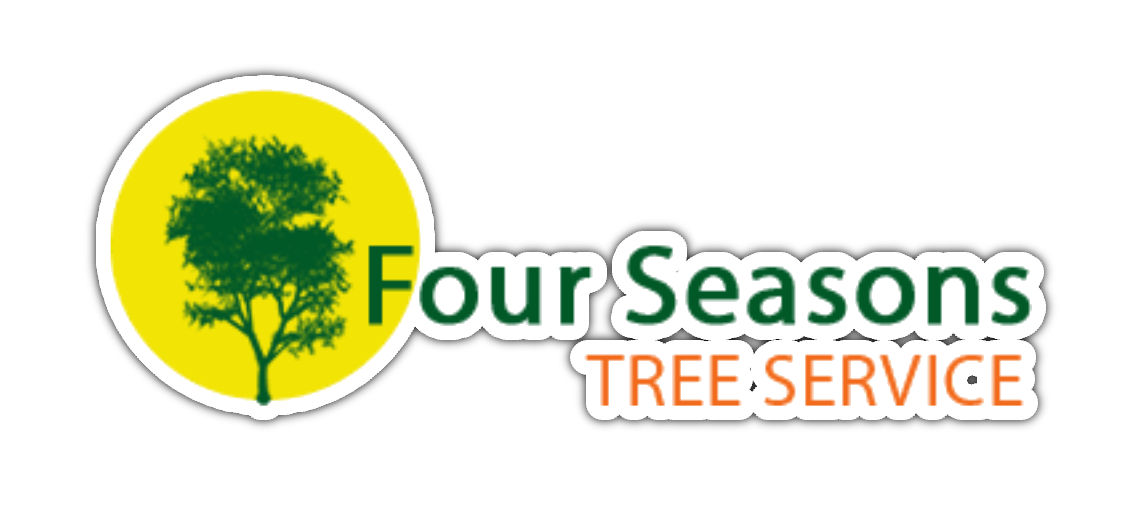 Four Seasons Tree Service logo with green tree in yellow circle and green-orange text