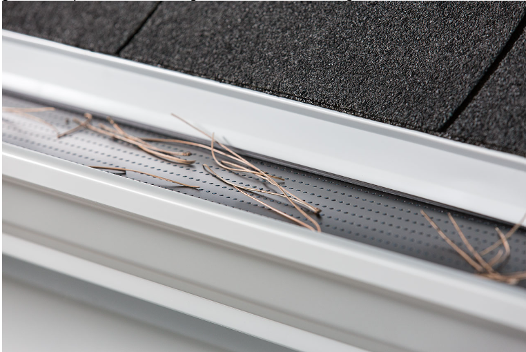 Damaged roof gutter with dried pine needles and debris along the edge of a shingled roof