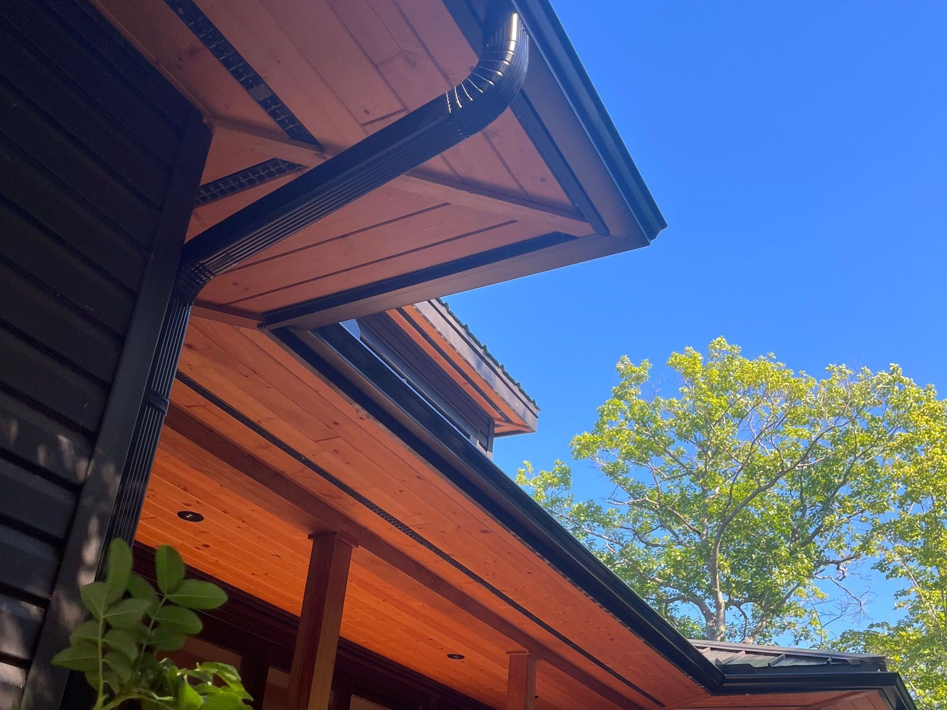 Wooden house eaves and roofline against a clear blue sky with green tree branches