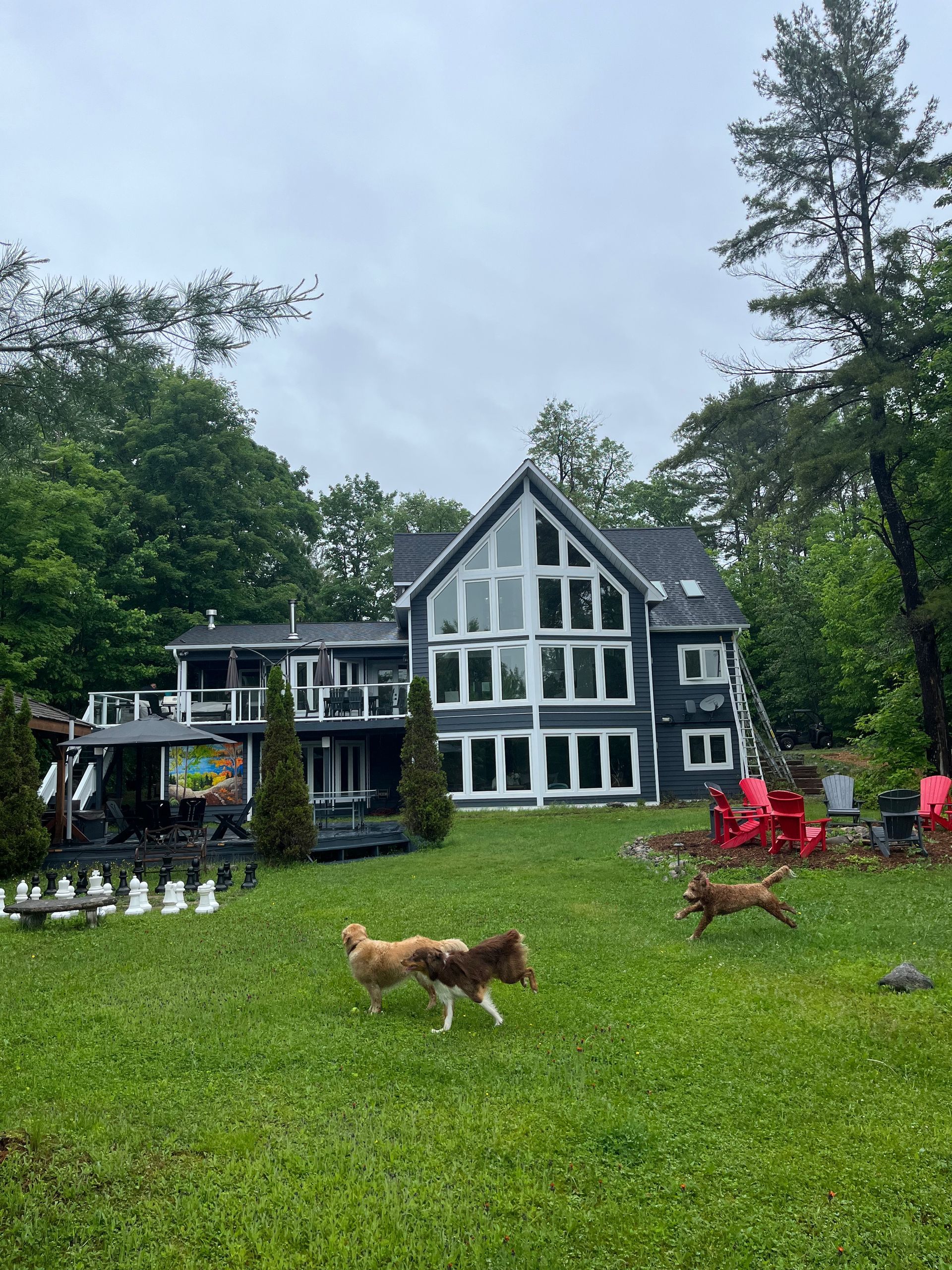 Black house with white trim in a grassy yard, with two dogs and red chairs under tall trees.