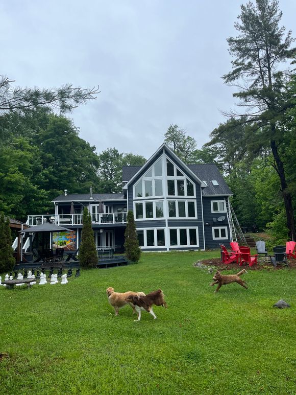 Two dogs on a green lawn in front of a black-and-white house with tall trees.