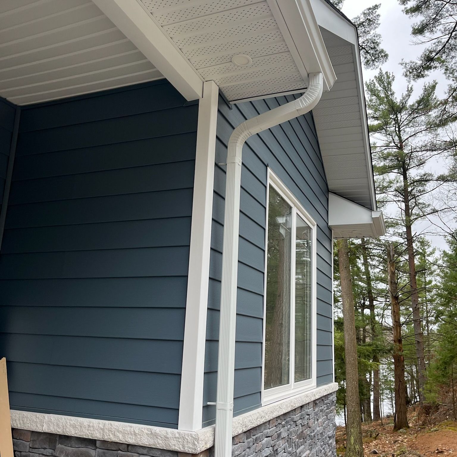 Blue house exterior with white trim, windows, and gutter beside tall trees
