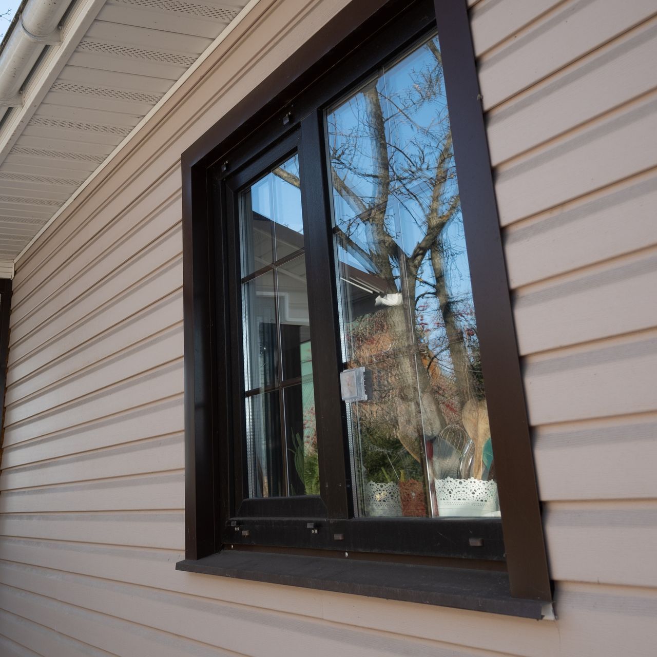Black-trimmed window on beige siding reflecting trees and sky