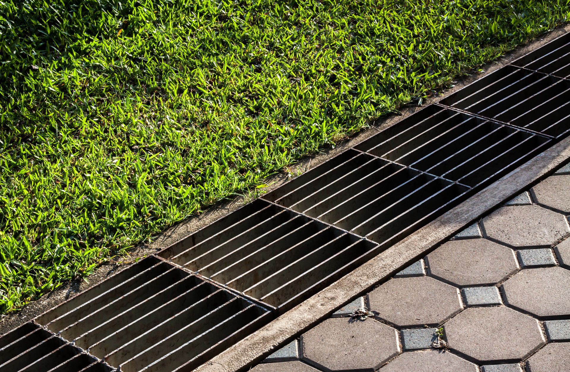 Grass beside a metal drainage grate along a paved sidewalk