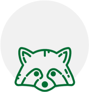 roach-icon