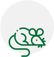 tick-icon