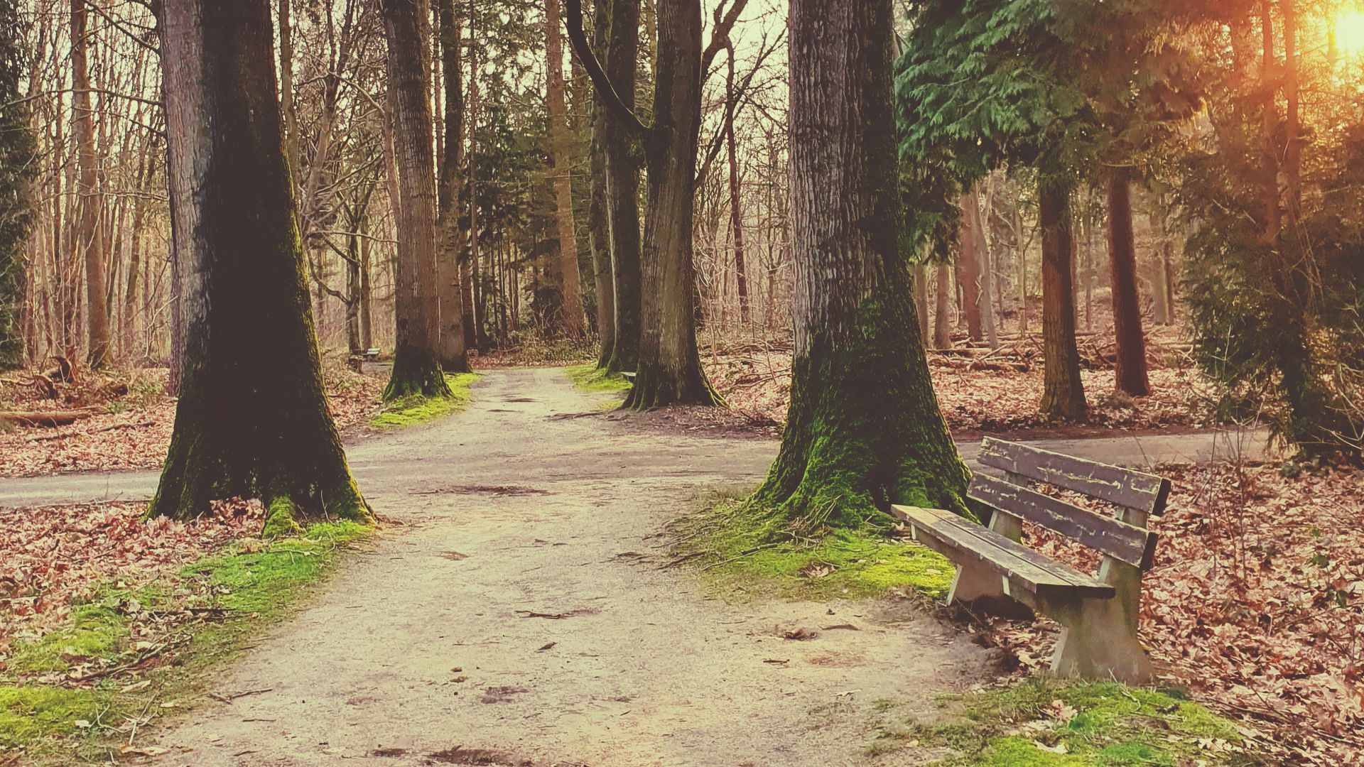 Crossroad, keuzes maken