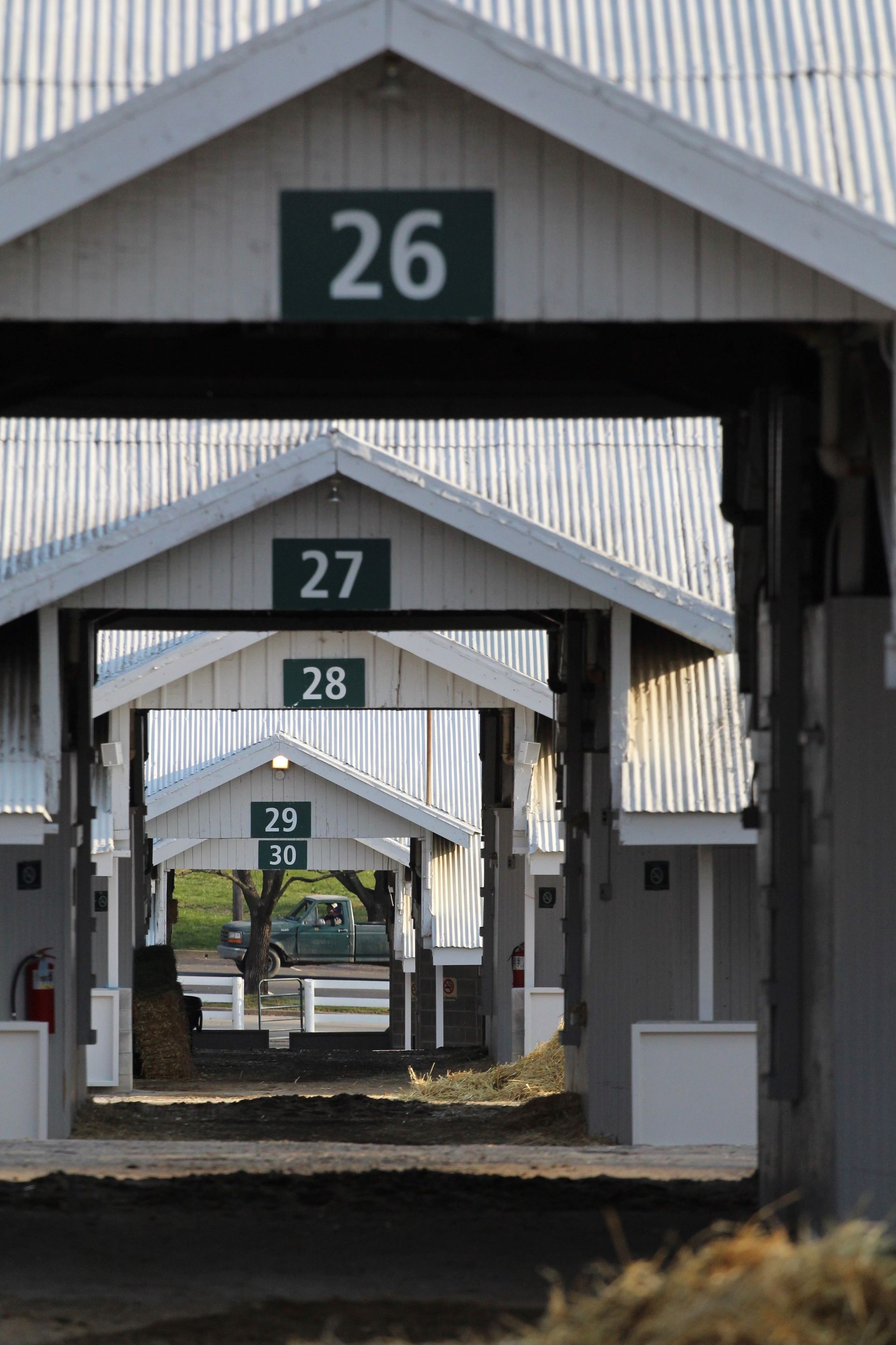 Horse Gallery Louisville, KY Kentucky Equine Medical