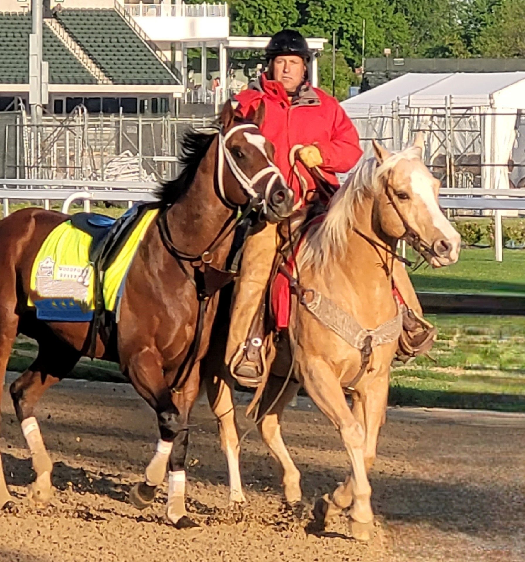 Horse Gallery Louisville, KY Kentucky Equine Medical