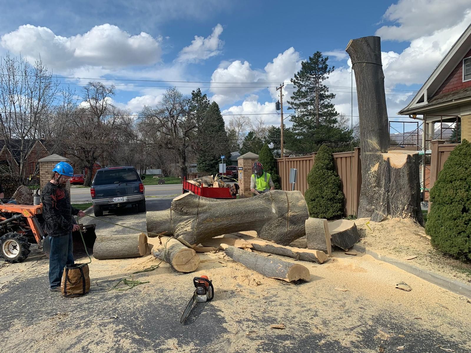 Heartwood Tree Service - Salt Lake County Tree Service