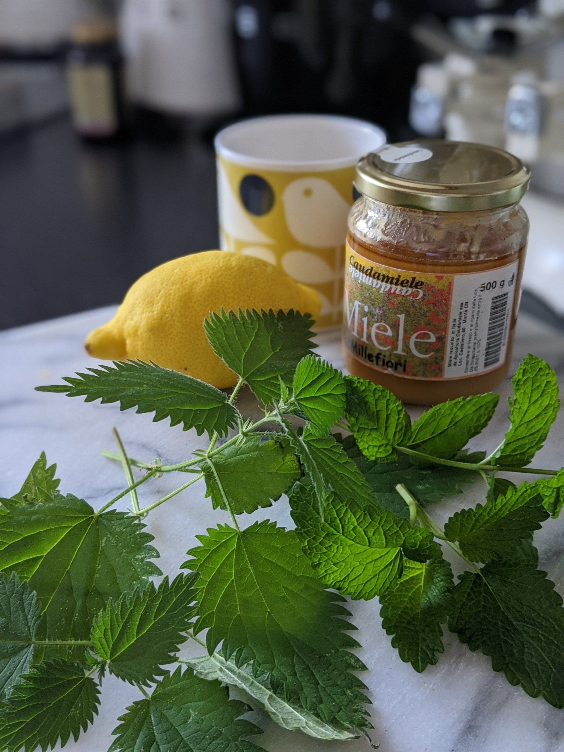 Cleansing Herbal Tea - photograph by Sue Cartwright