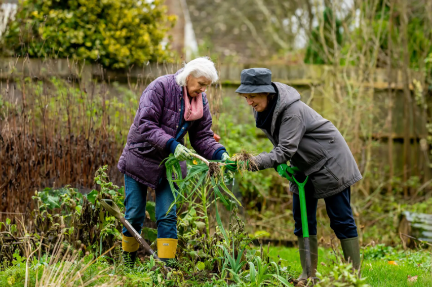 A Community Hub Dedicated to Local People by Sue Cartwright, Community Assembly of the British Isles