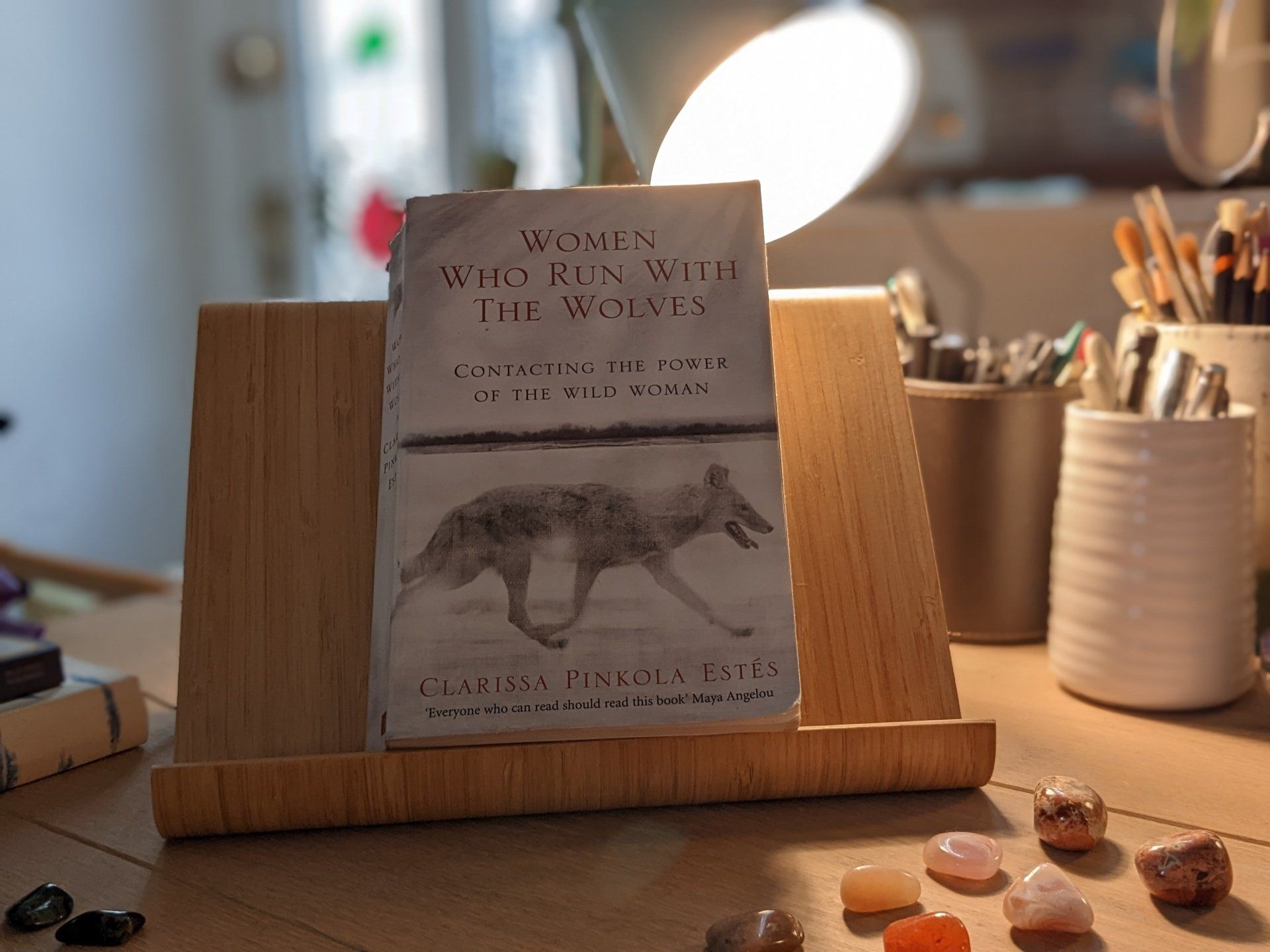 Women Who Run With The Wolves by Clarissa Pinkola Estés