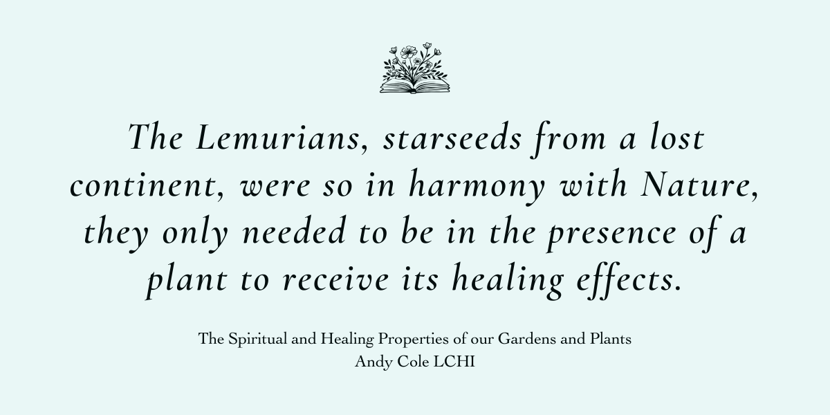 Spiritual and Healing Properties of our Gardens and Plants by Andy Cole LCHI - A Book Review by Sue Cartwright, Community Assembly of the British Isles