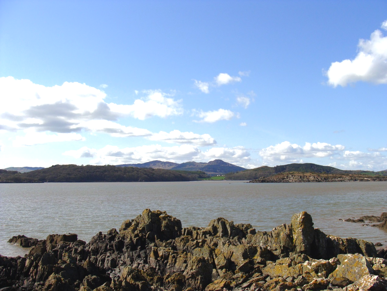 Community Assembly of the British Isles