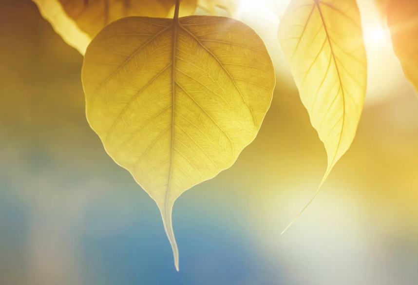 Understanding our Spiritual Frequencies by John Gilbert MCHI, Community Assembly of the British Isles
