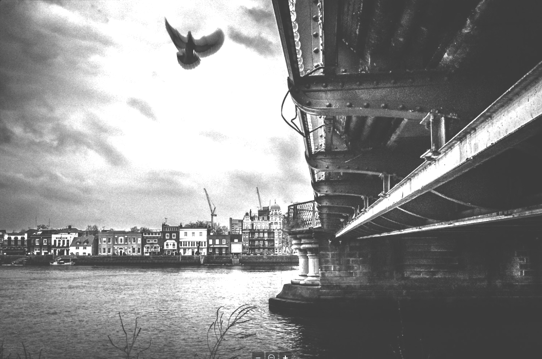 Where Does True Freedom Lie by Adrian Shaw, Member of the Community Assembly of Mevagissy