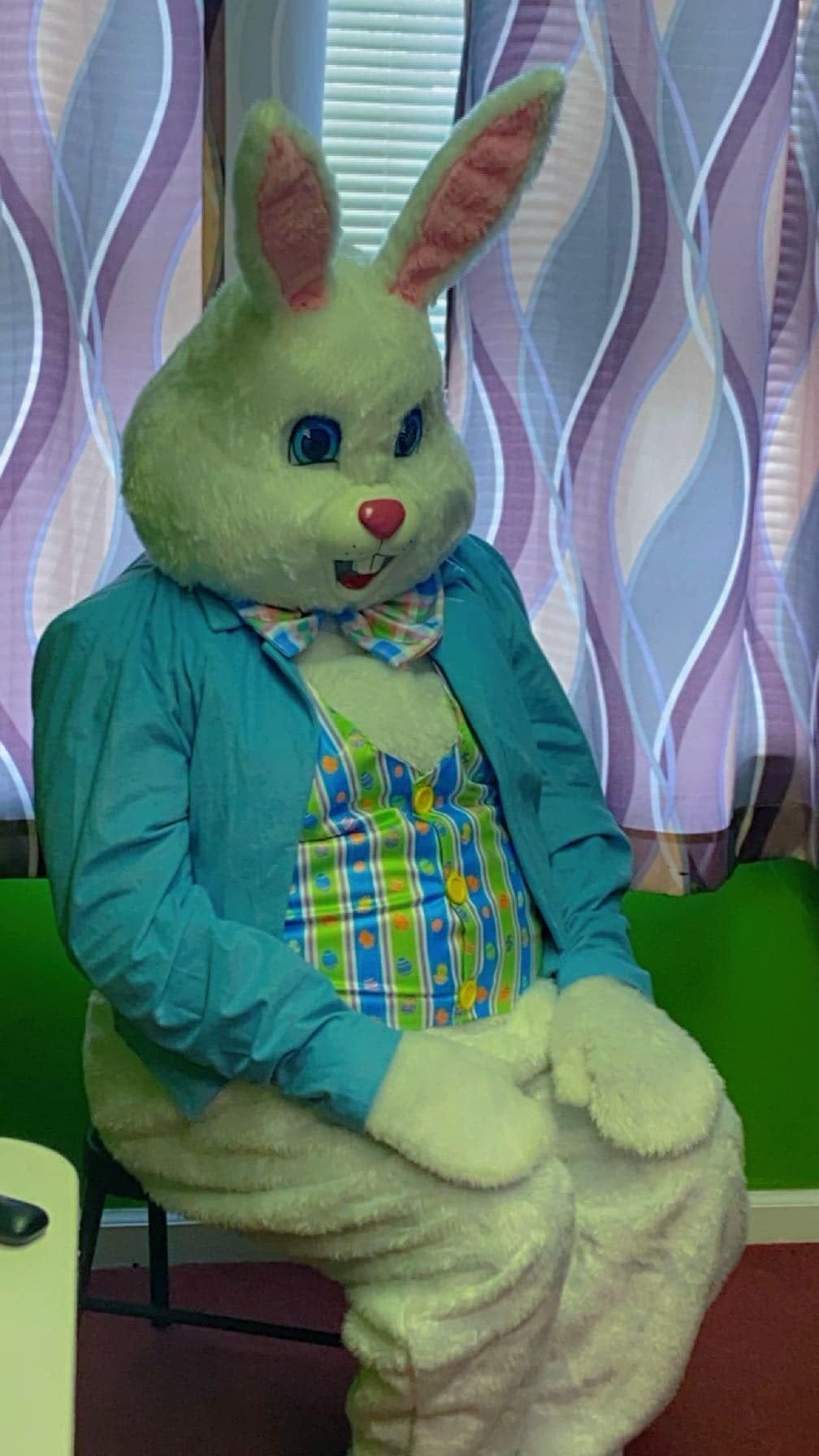 A costumed Easter Bunny wearing a teal blazer and a plaid vest sits in front of patterned curtains.