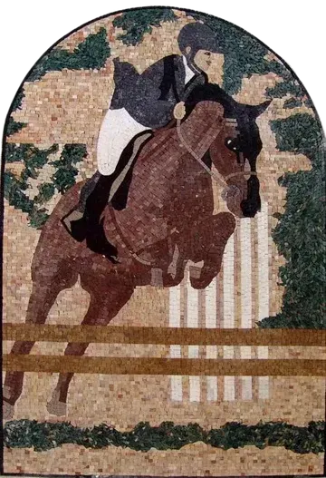 show jumping
