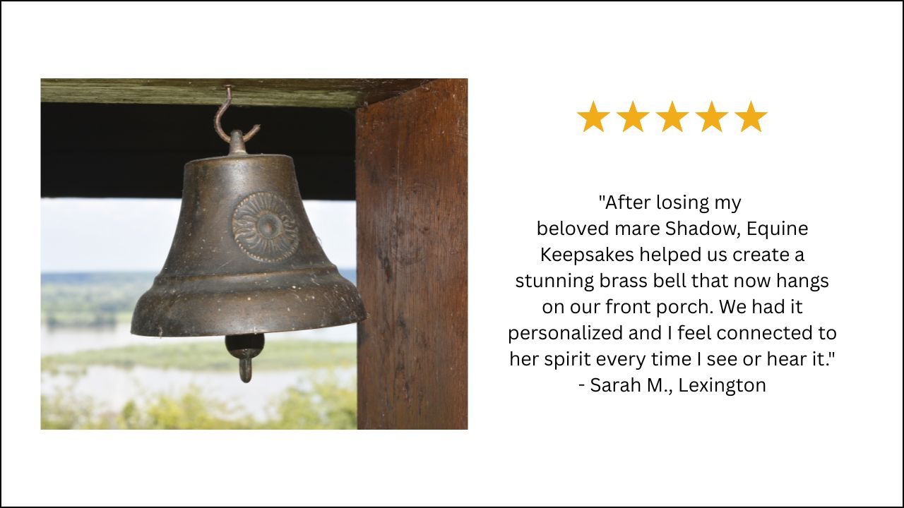 review brass bell
