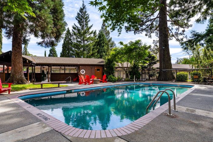 Outdoor motel pool with turquoise water, red lounge chairs, and tall pine trees surrounding the deck.