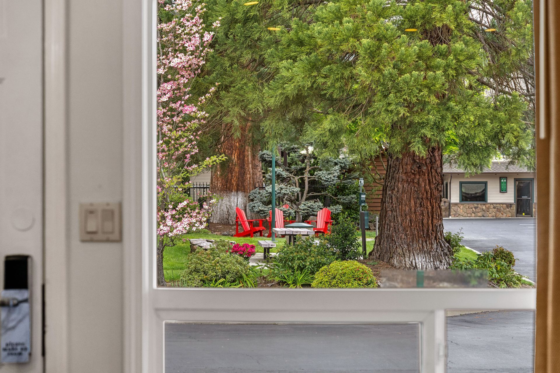 View through a window of a leafy yard with a red bench and large tree near a street
