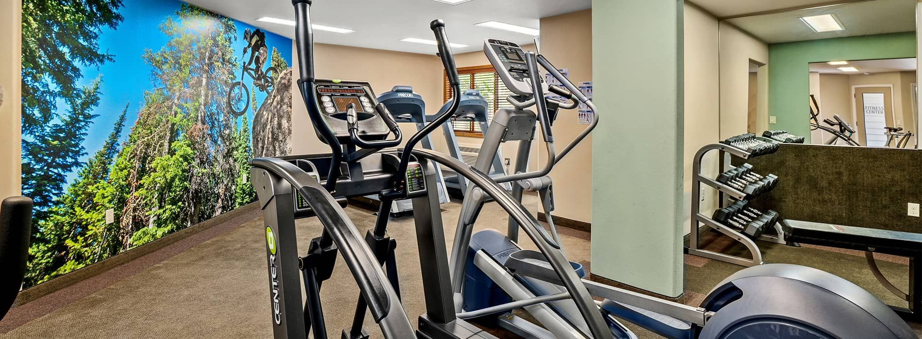 Modern gym with exercise bikes, treadmills, and a wall mural of mountains and trees
