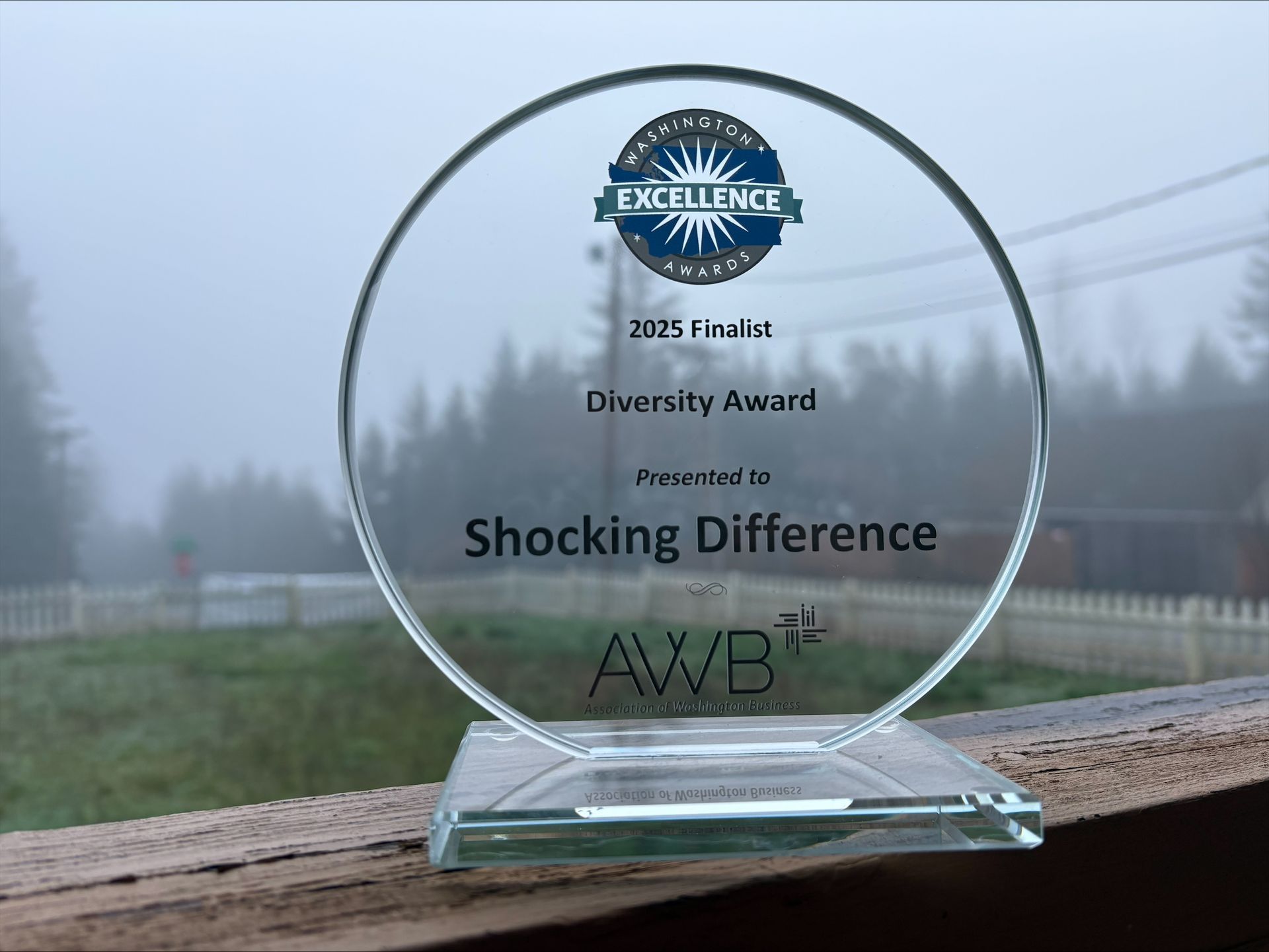 A glass award for the 2025 AWB Diversity Award presented to Shocking Difference, set on a wooden railing outdoors.