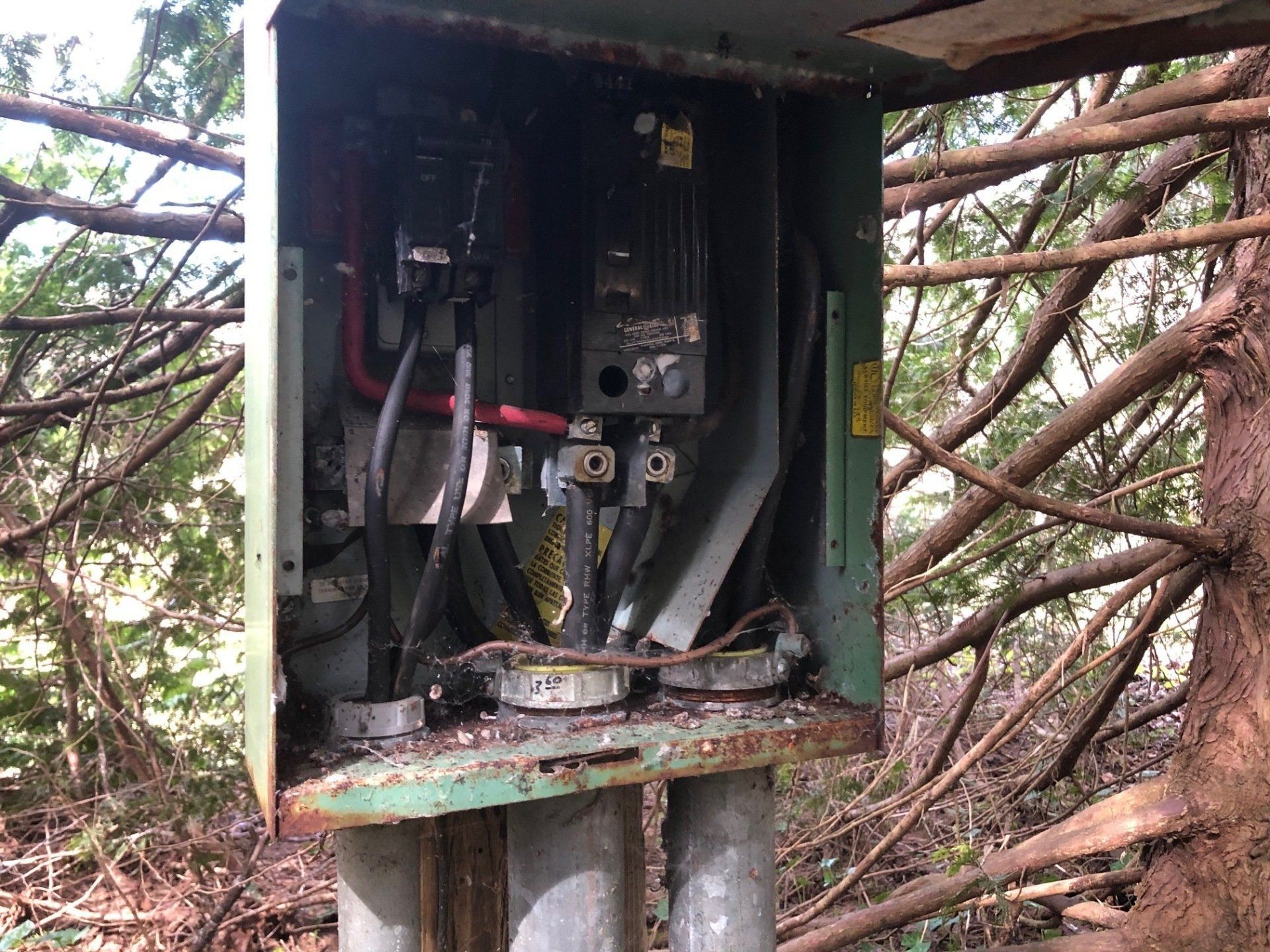 Open electrical control box with exposed wiring in a wooded area