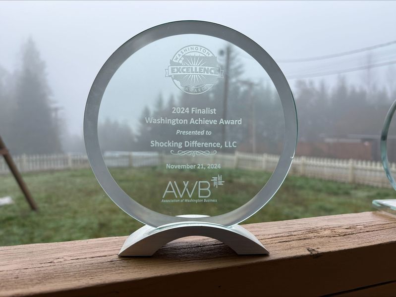 A glass award trophy for the 2021 Washington Achieve Award presented to Shocking Difference, LLC, set on a wooden railing.