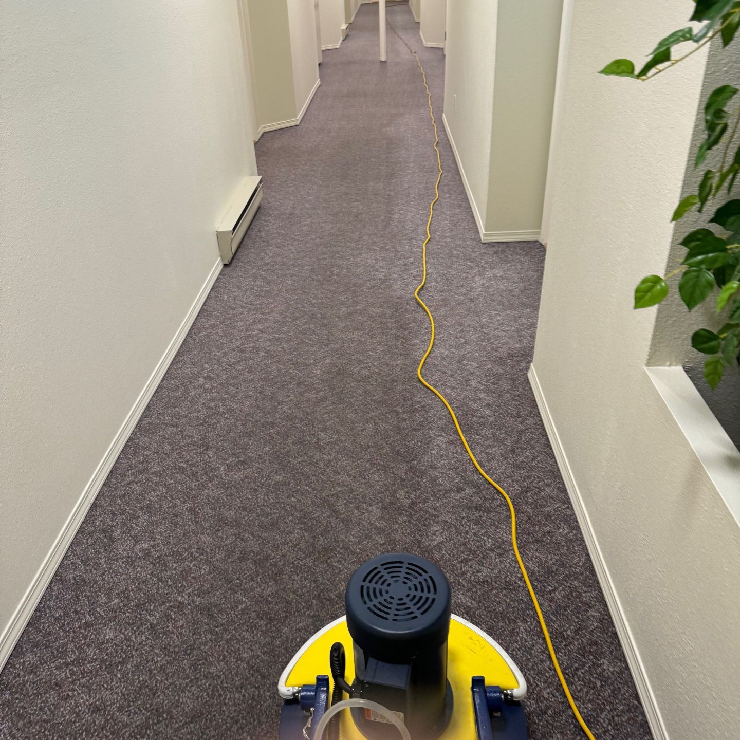Servco Premium Cleaning