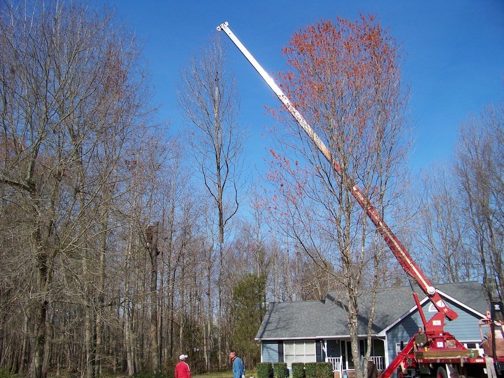 Pictures Bobby Anderson Jr Tree Service Raleigh & Wake Forest, NC