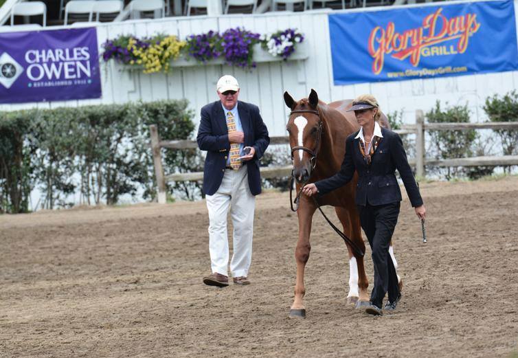 Horse farm Woodstock, IL (815) 3383210