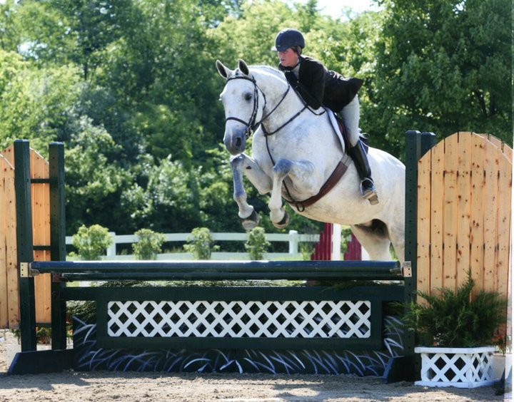 Horse farm Woodstock, IL (815) 3383210