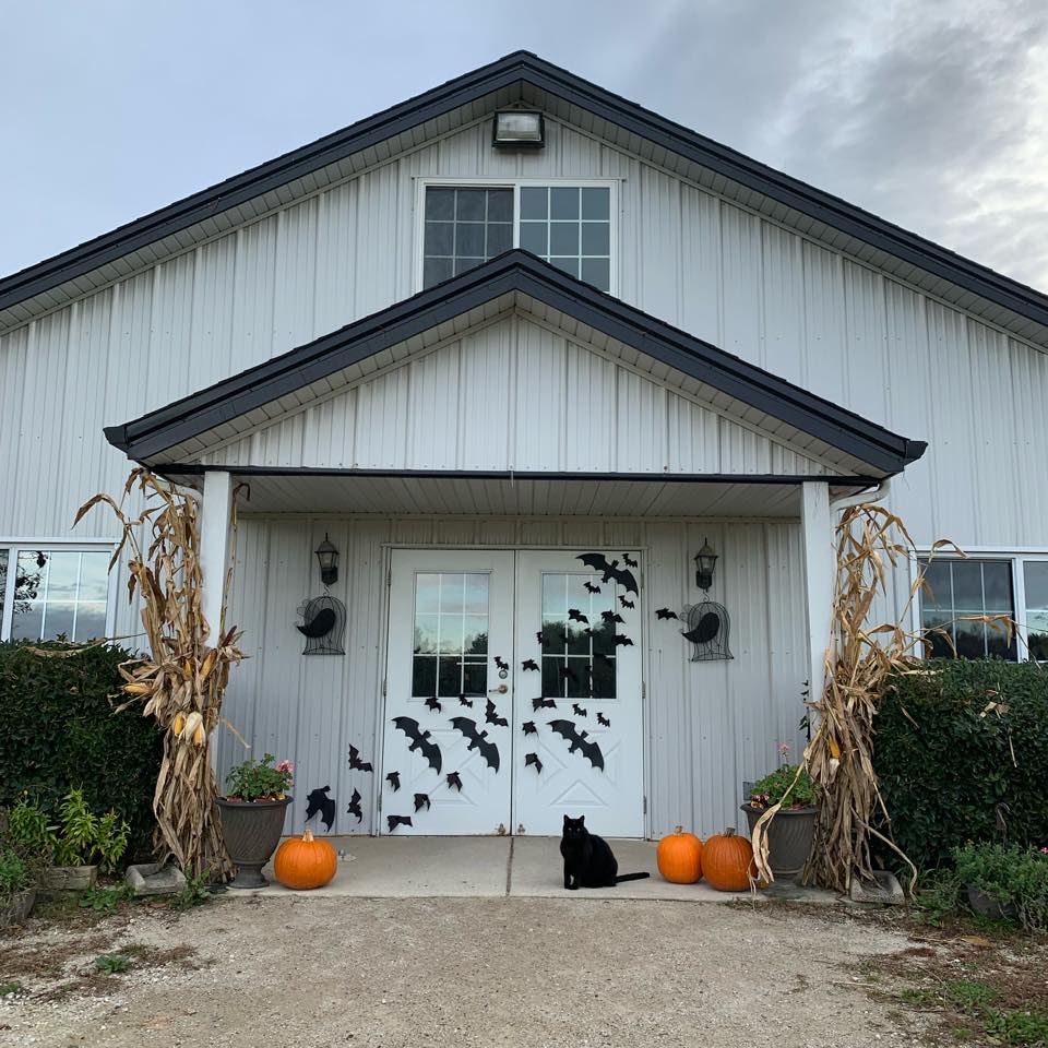 tievoli farm inc memories gallery