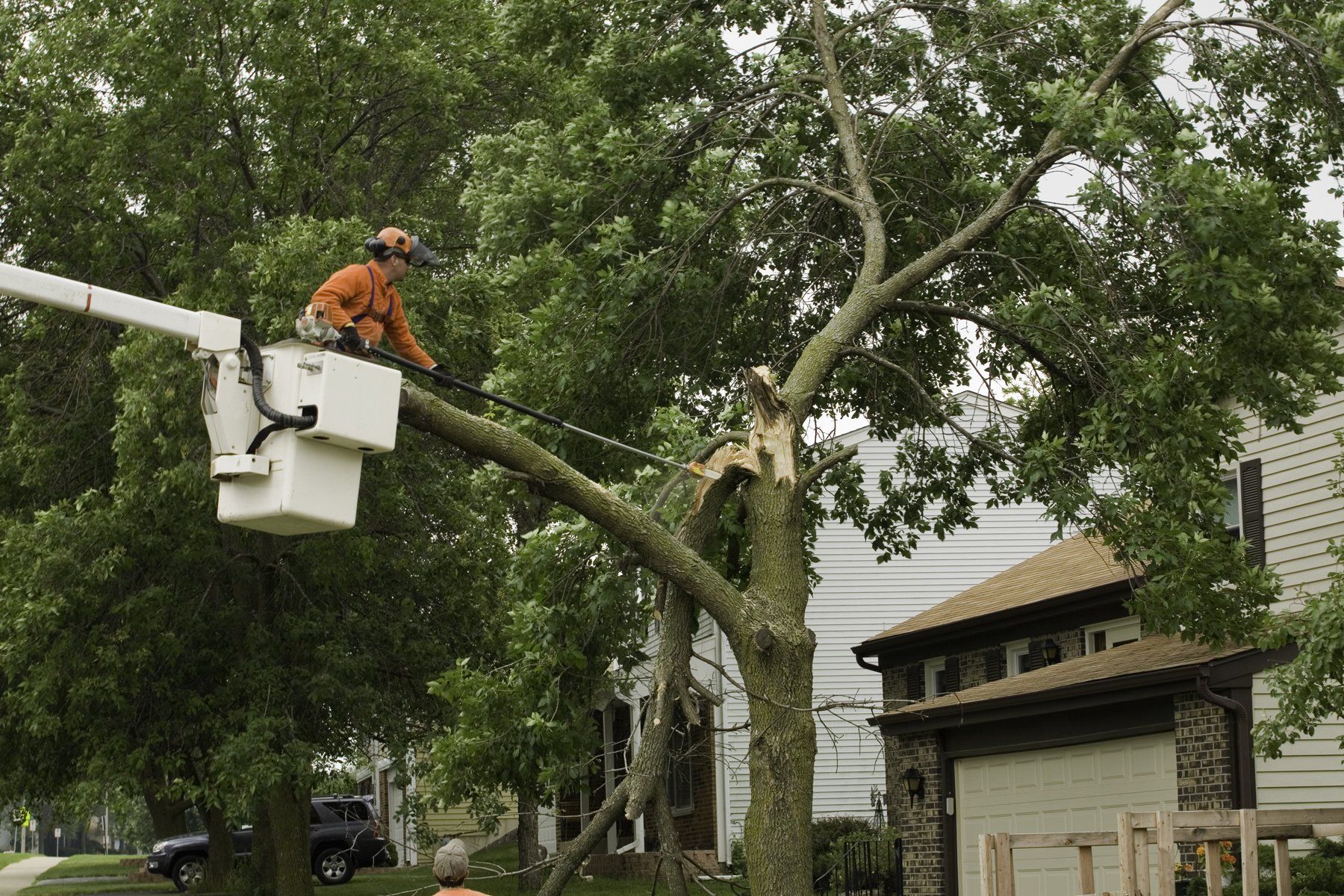 Storm Damaged Tree Gets Cut — Vass, NC — Precision Tree Trimming and Removal LLC