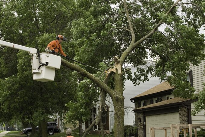 Storm Damaged Tree Gets Cut — Vass, NC — Precision Tree Trimming and Removal LLC
