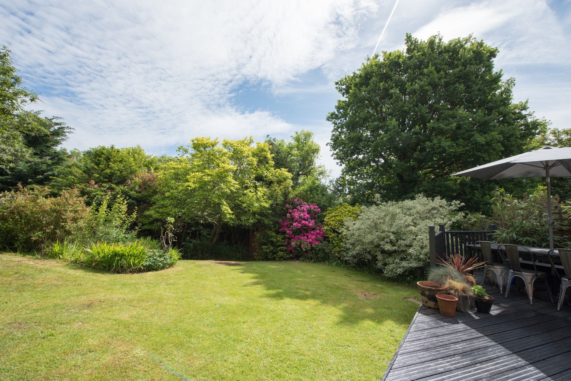 House with a Beautiful Yard — Vass, NC — Precision Tree Trimming and Removal LLC