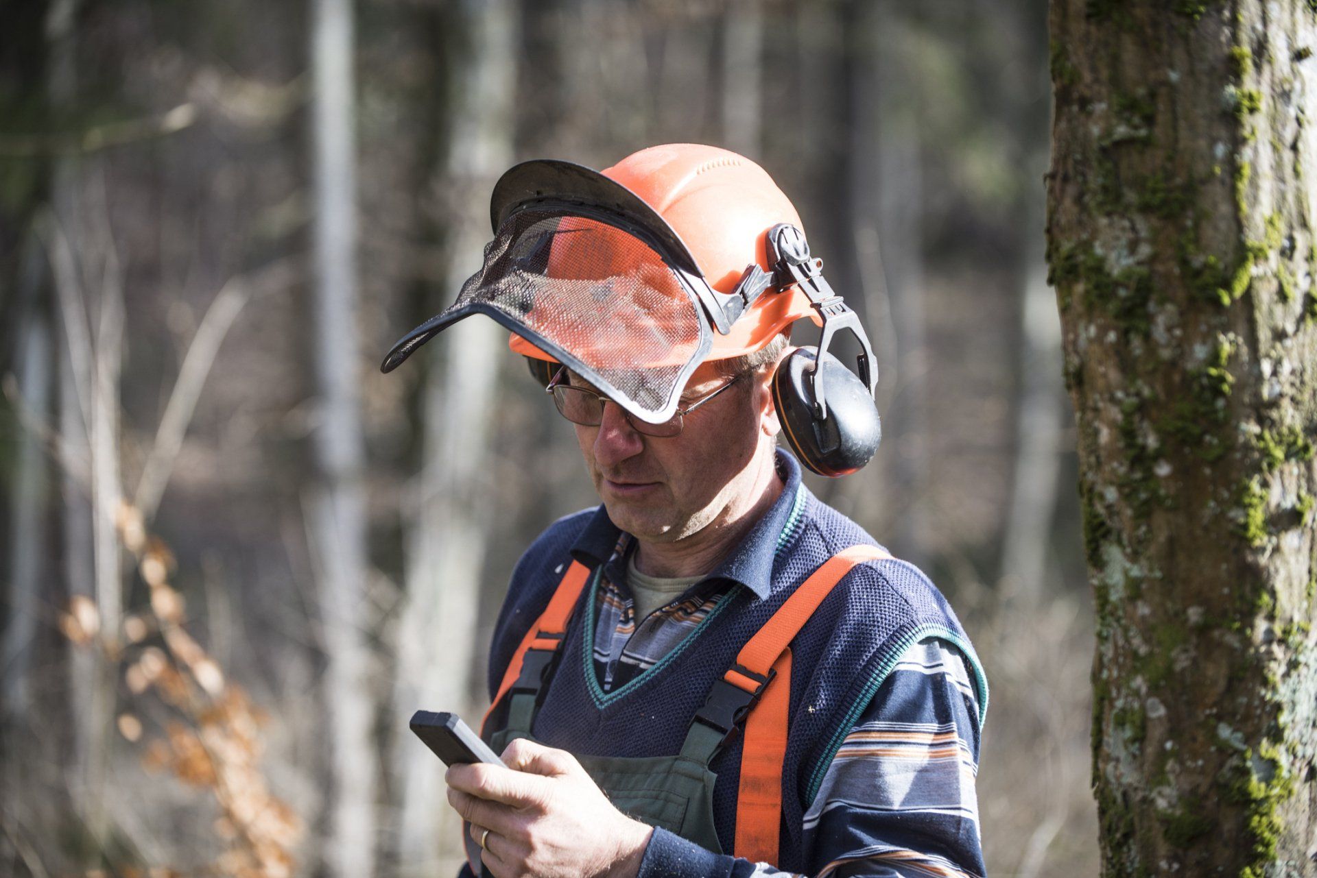Tree Inspector — Vass, NC — Precision Tree Trimming and Removal LLC Tree Inspector — Vass, NC — Precision Tree Trimming and Removal LLC