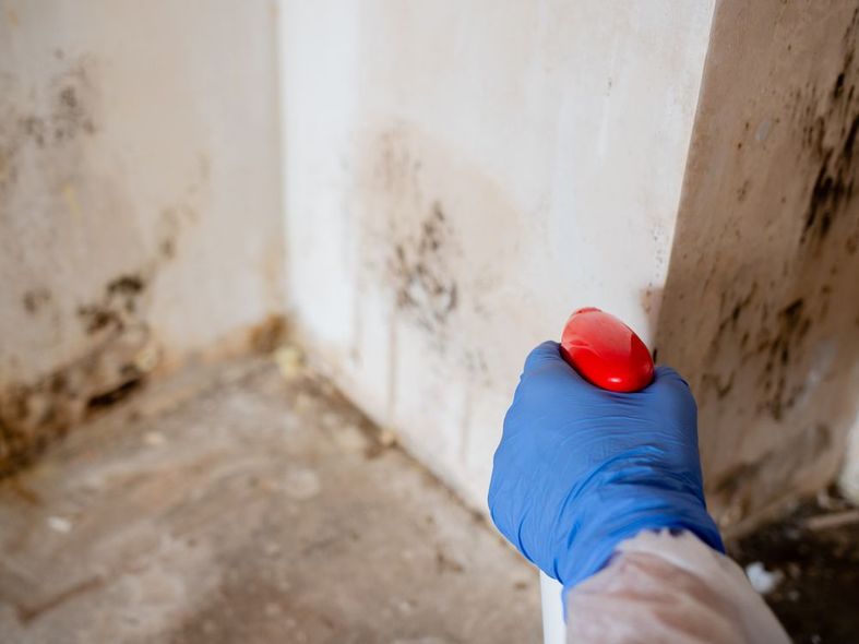 Blue-gloved hand sprays red cleaner into a dirty corner with mold stains on white walls.