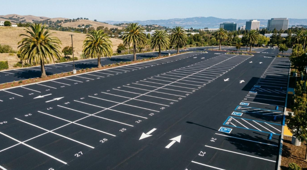 Empty parking lot with white-lined spaces, palm trees, and hills in the distance