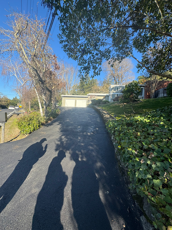 A person is walking down a driveway next to a house.