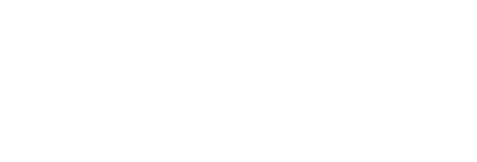 Double T Financial logo