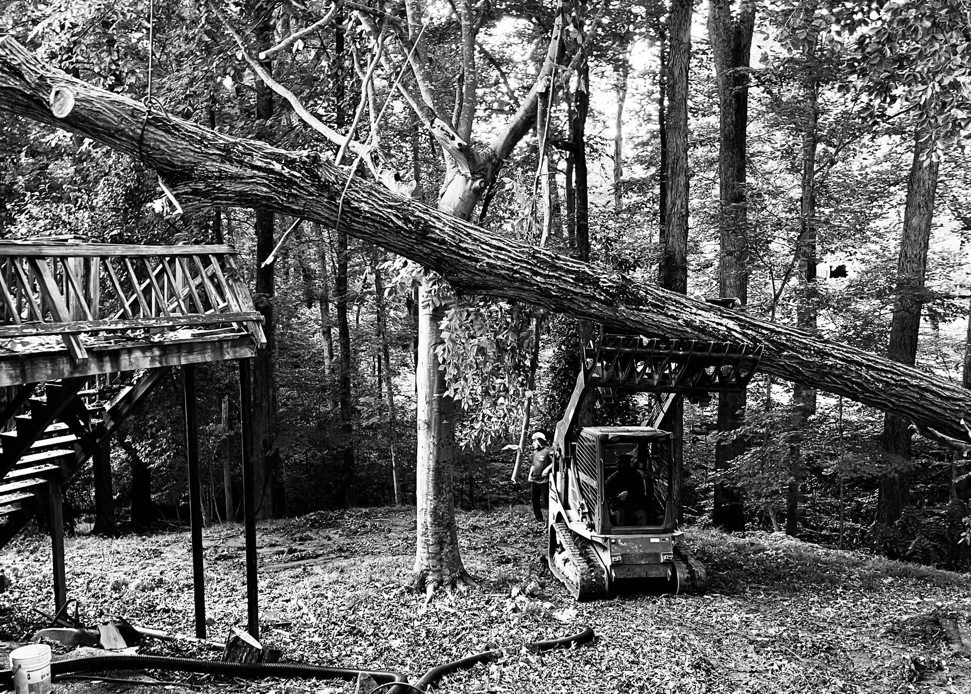 Fallen tree branch resting on a small tractor in a wooded area, near a deck. Black and white.