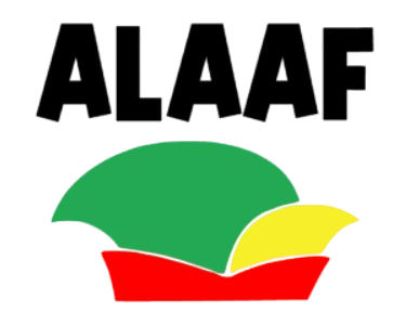 Herbruikbare raamsticker ALAAF prinsensteek