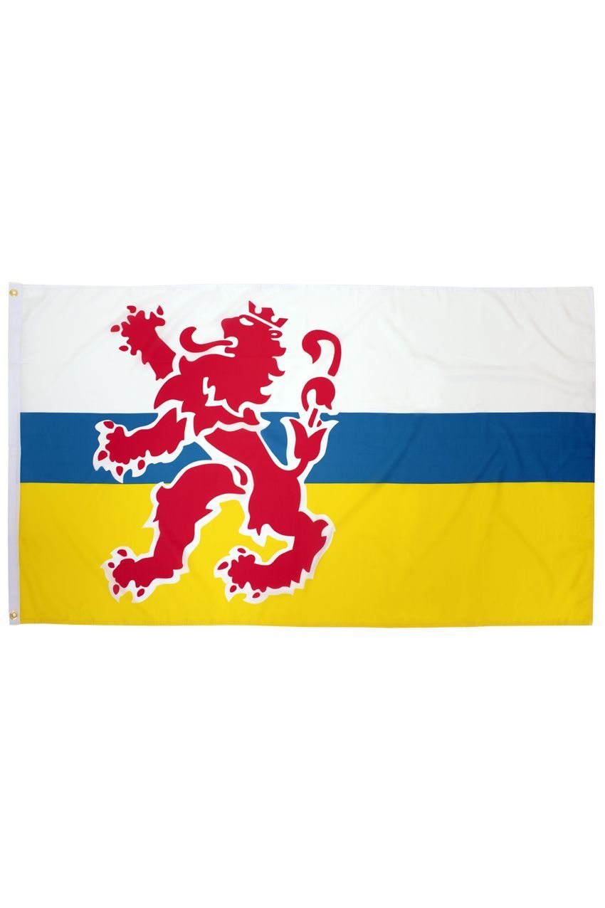 UITVERKOOP!!! Vlag Limburg met Leeuw
