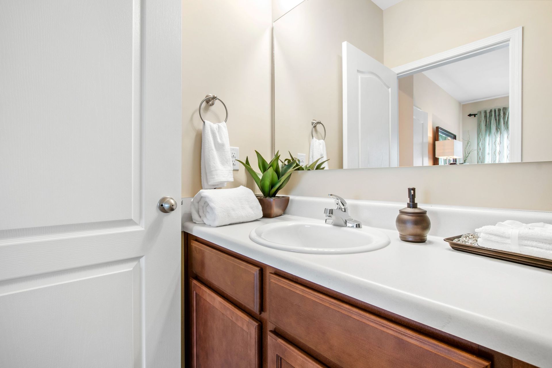Bathroom vanity with white sink, large mirror, towels, and a plant on the counter.