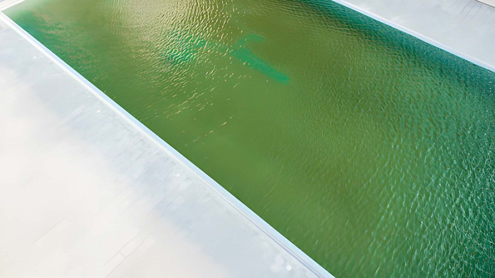 Aerial view of green water beside a white sandy shoreline or pier edge