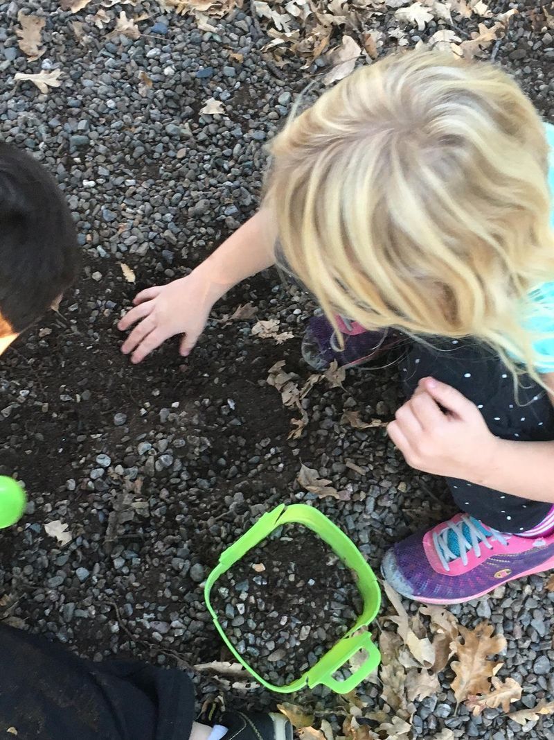 A boy and a girl are digging in the dirt.