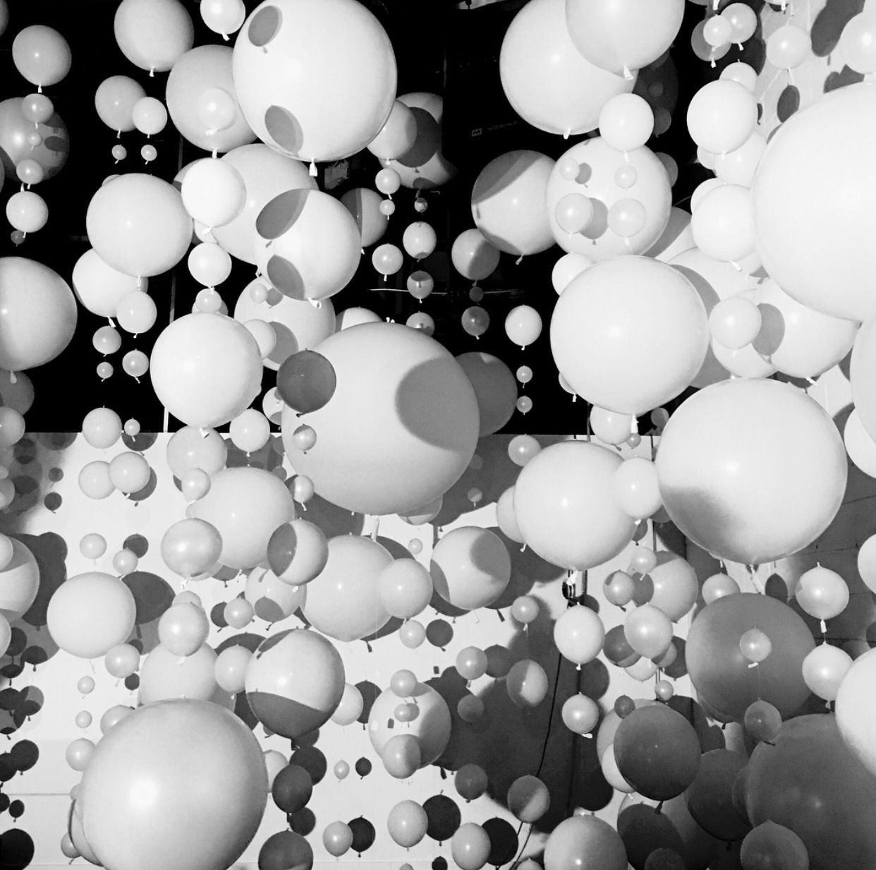 White balloons of varying sizes suspended in a dark space.